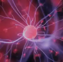 circutio energetico de sanación