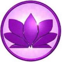sesion magnified healing online